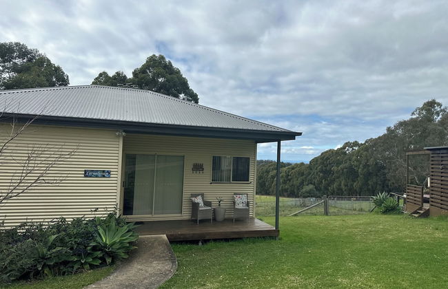 Blueberry Hills on Comleroy - Photo 27