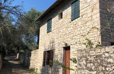 The "M" House - Photo 7