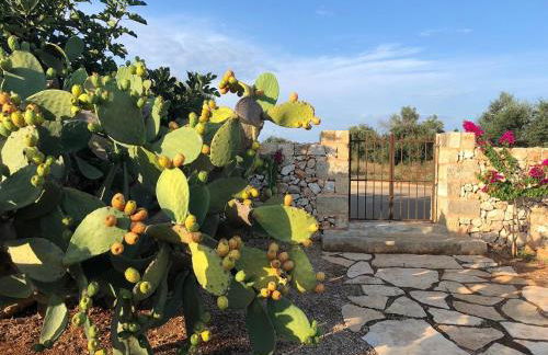 Agriturismo Vòioro - Foto 13