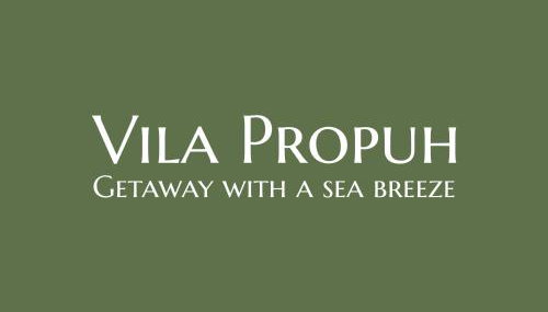 Vila Propuh Primošten - Foto 2