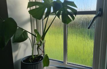 Brisley North Norfolk cosy cottage garden pub and walks - Foto 49