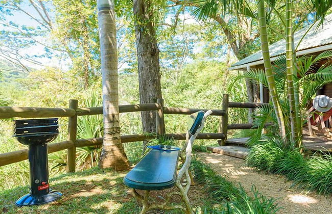 La Vieille Cheminee - Photo 60