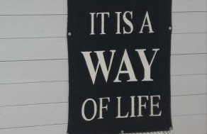 DoWielina - domki wśród natury - Foto 43