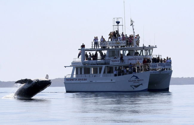 Ingenia Holidays Eden Beachfront - Photo 70