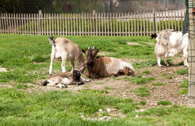 Agriturismo Da Giovanni - Foto 80