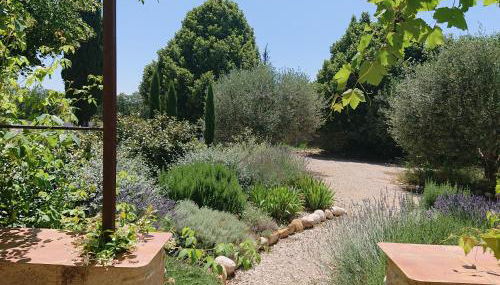 Gite Olivier, Ferme Bel Air - Foto 5, Garden view