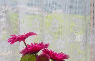 Appartamenti Sergio Benedetti - Photo 31