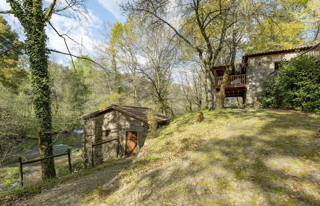 Quinta do Rio Homem - Photo 29