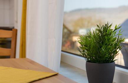 Weingut Roth - Foto 22