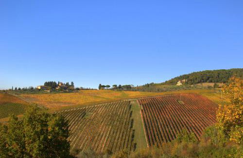 Fonte de' Medici - Foto 95