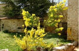 Les Gîtes De La Chérine - Foto 37