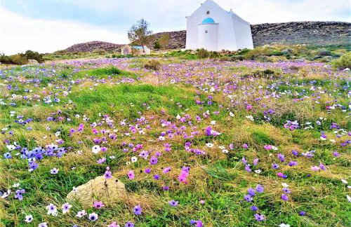 Liviko View - Foto 47