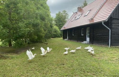 Fontanehof - Foto 19