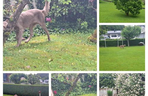 Nature Park, 2 Double, 1 sofa for sleeping in 3 rooms, Kitchen, Bathroom - Foto 15