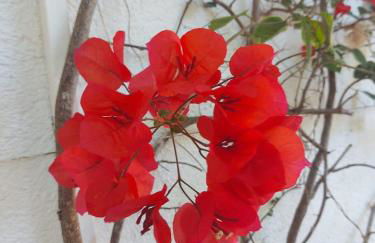 Casa rural frente al mar La Toscana - Foto 25