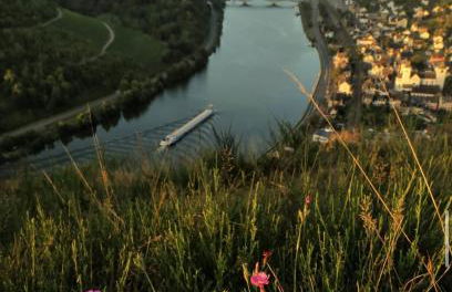 Ferienwohnung Weins - Foto 25