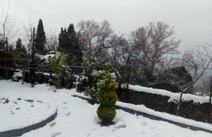 Apartments Spiros Pelion - Foto 6