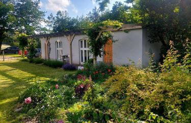 Happy Horse Sosnowa Góra - Foto 9