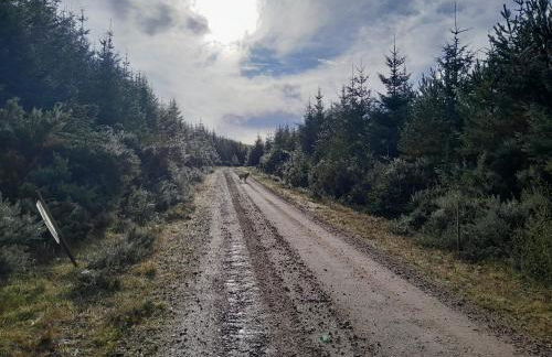 The Boathouse - Foto 22