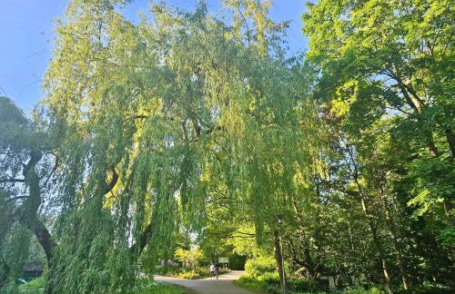 Licht+Luft, Wohnen auf Zeit - Foto 42