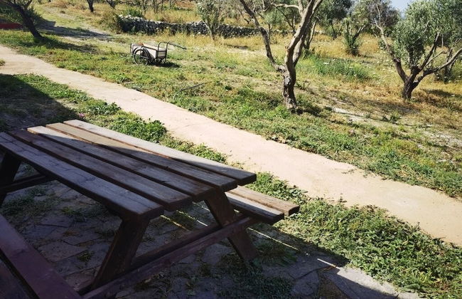 la corte degli ulivi - Foto 43