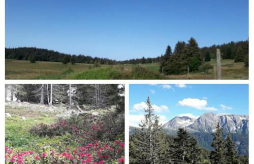 Chamrousse 1700 - Les Domaines de LArselle - Silènes C32 - Classé 3 étoiles- Vue sur les montagnes - - Foto 24