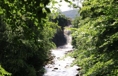 Belgrave House - Photo 58