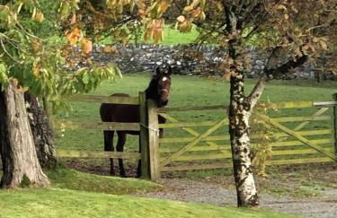 The Grooms Cottage - Photo 19