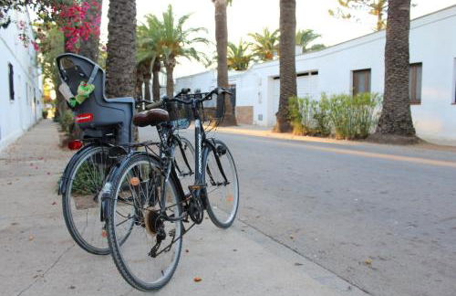 Lo Segador - Foto 36