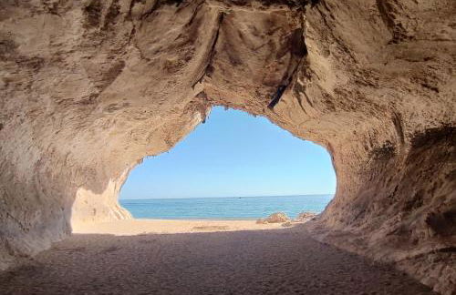 Cuile Casari - Foto 39