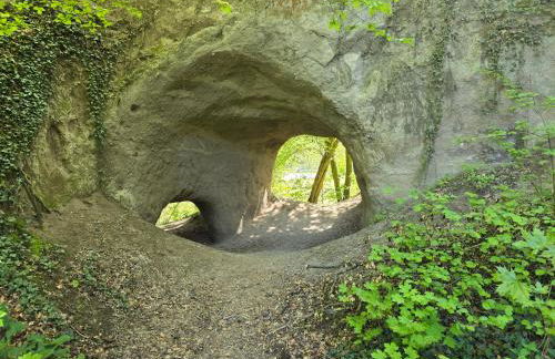 Fewo am Wingertsberg Glees Laacher See - Foto 33