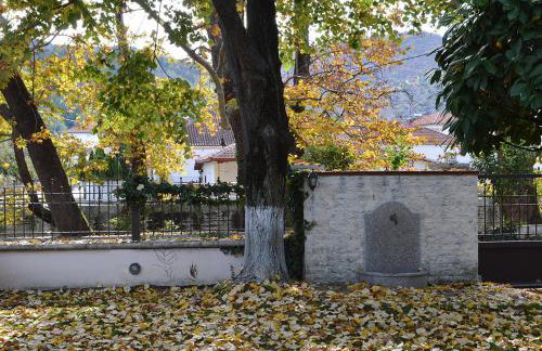 "The plane trees" - Foto 49