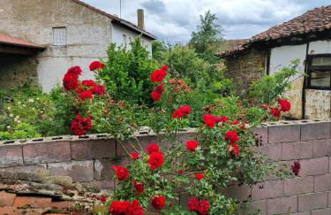 Casa Simón - Foto 56
