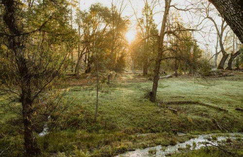Luxury Nature Getaway Stone House by Casa Oso - Foto 74