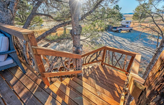 Tree Deer Blind - Foto 10