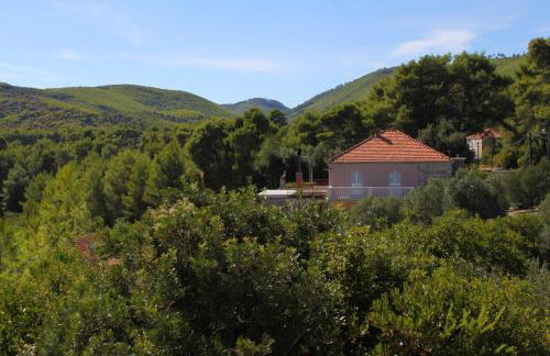 Family-friendly apartments with swimming pool Smokvica, Korcula - 9161 - Foto 28