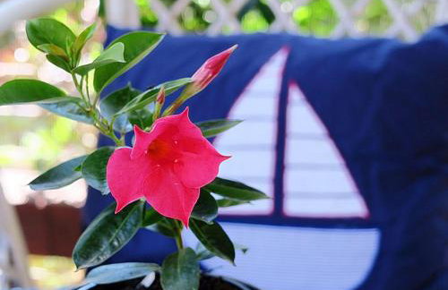 Apartments Vera - Comfort One-Bedroom Apartment with Terrace and Sea View Irena - Foto 18