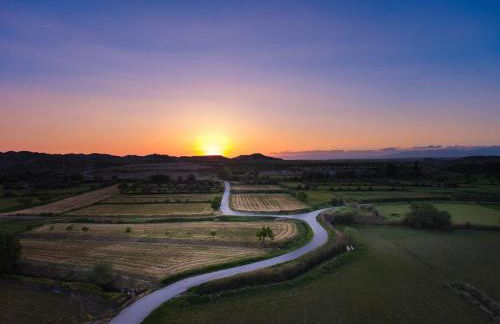 Cueva El Murallon Benamaurel - Foto 42