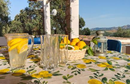 Los Tréboles - Foto 32