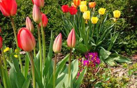 Schöne EinliegerWhg (74m²) in Villa mit Traumlage - Foto 51