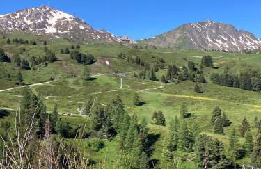 Appartement à Belle Plagne au pied des pistes - Foto 16