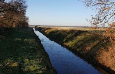 Amazingly quiet and peaceful studio getaway. - Foto 25