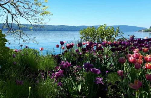 Lakeview Penthouse - Foto 55