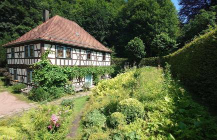 Ferienwohnung Teichblick - Foto 26