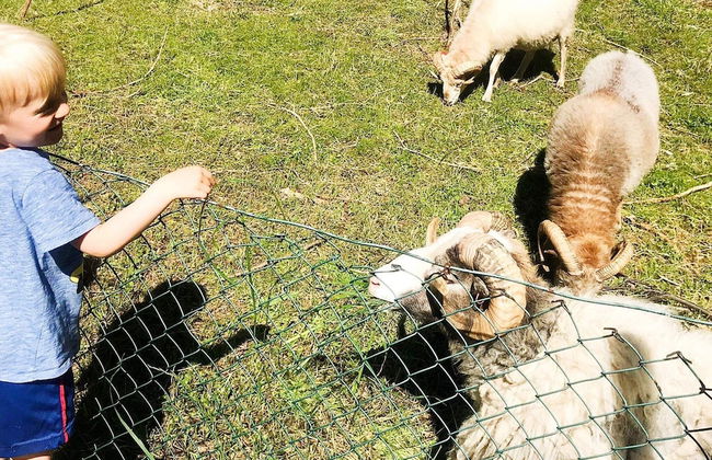 4 Star Holiday Home in Vikholmen - Foto 11