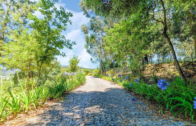 Forest Hideaway Near Douro Valley - Foto 20