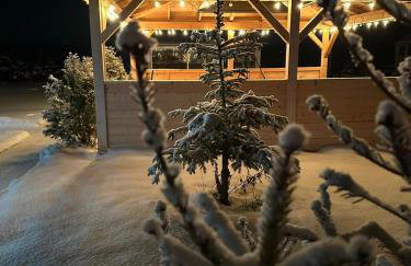 Domki Nad Sanem Bachórzec 6a - Foto 58