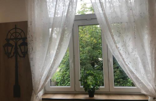 Płock by night - Foto 11