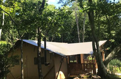 Barefoot Yurts - Photo 19