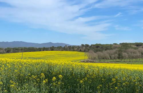 Mas Gelabertó - Foto 7